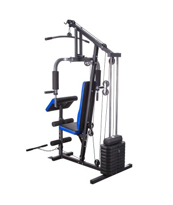 HEKTOR 3 ATLAS 100 LBS (45 KG) ONE FITNESS
