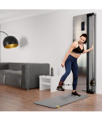 BSP301 BRAMA PRZYŚCIENNA TRENINGOWA PNEUMATYCZNA COMMERCIAL HMS