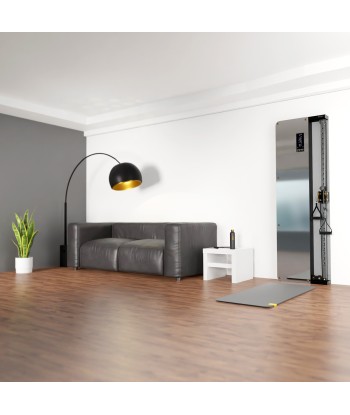 BSP301 BRAMA PRZYŚCIENNA TRENINGOWA PNEUMATYCZNA COMMERCIAL HMS