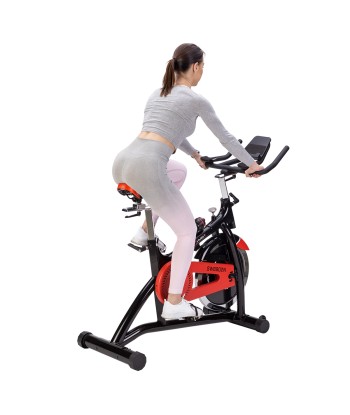 SW8902N ROWER KOLARSKI STACJONARNY Z OPOREM MECHANICZNYM HMS