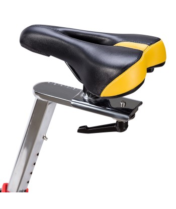 SW7200 ROWER STACJONARNY KOLARSKI Z OPOREM MECHANICZNYM 22KG HMS PREMIUM