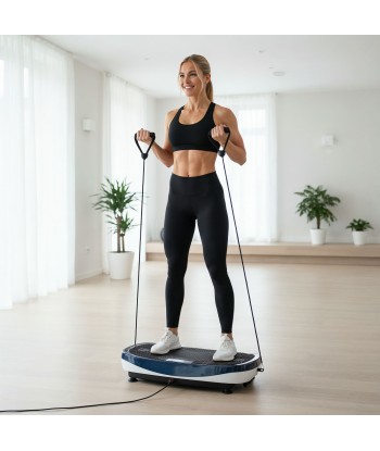 SVP13 PLATFORMA WIBRACYJNA Z NAKŁADKĄ 3D 2 SILNIKI HMS