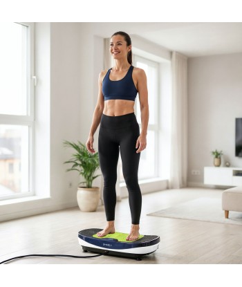 SVP13 PLATFORMA WIBRACYJNA Z NAKŁADKĄ 3D 2 SILNIKI HMS