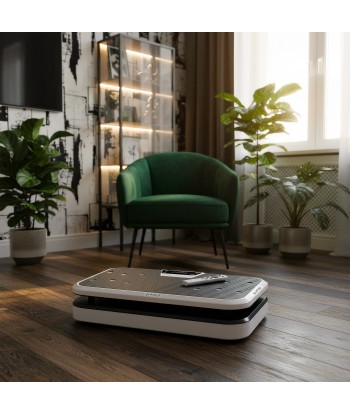 SVP09 PLATFORMA WIBRACYJNA Z PODPÓRKAMI DO POMPEK HMS