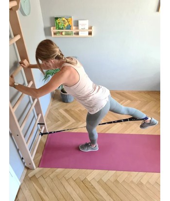 Drabinka gimnastyczna BenchK 100