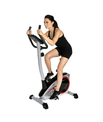 Rower Christopeit AL1 srebrny
