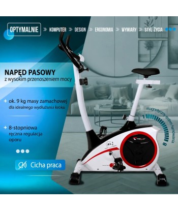 Rower Christopeit AL1 srebrny