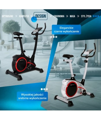 Rower Christopeit AL1 srebrny