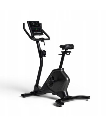 Rower pionowy Schwinn 590U