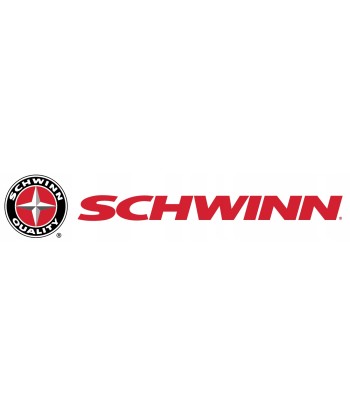 Rower pionowy Schwinn 590U