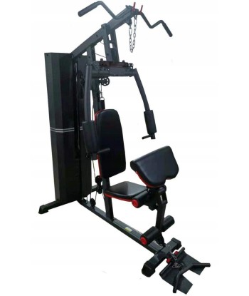 Atlas jednostanowiskowy DS Fitness MS600S