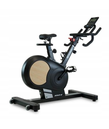 Rower treningowy magnetyczny spinningowy BH Fitness H9340