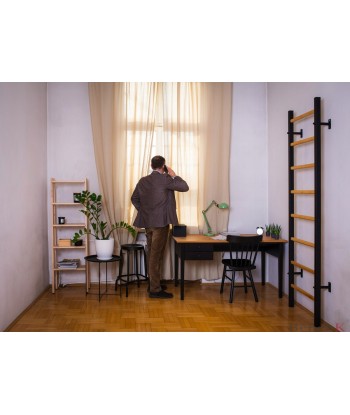 Drabinka gimnastyczna wielofunkcyjna BenchK 210B
