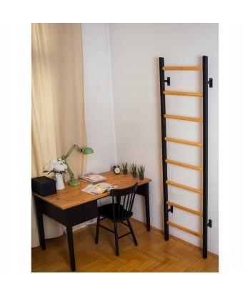 Drabinka gimnastyczna wielofunkcyjna BenchK 210B