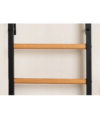 Drabinka gimnastyczna BenchK 231B