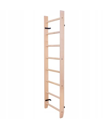 Drabinka gimnastyczna BenchK 100
